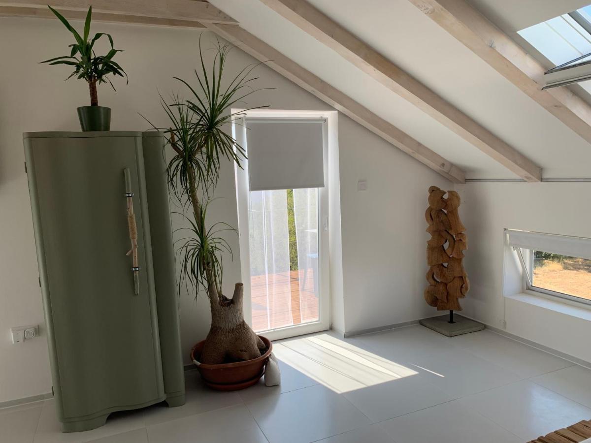 Apartment Pampas Sveti Filip i Jakov Dış mekan fotoğraf