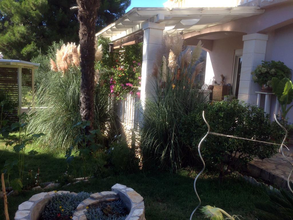 Apartment Pampas Sveti Filip i Jakov Oda fotoğraf
